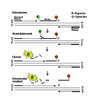 jxf吉祥坊(中国)官方网站